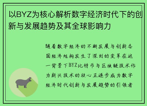 以BYZ为核心解析数字经济时代下的创新与发展趋势及其全球影响力